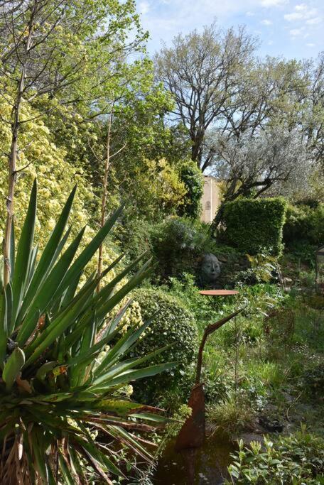 La Petite Maison Des Artistes Séguret Kültér fotó