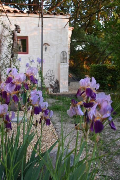 La Petite Maison Des Artistes Séguret Kültér fotó