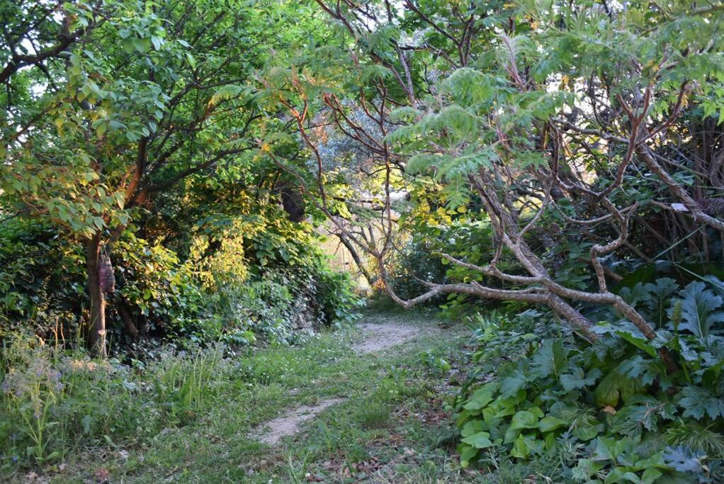 La Petite Maison Des Artistes Séguret Kültér fotó