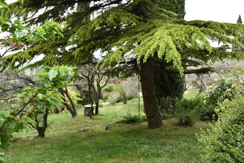 La Petite Maison Des Artistes Séguret Kültér fotó